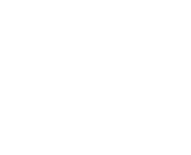 pizza max logo